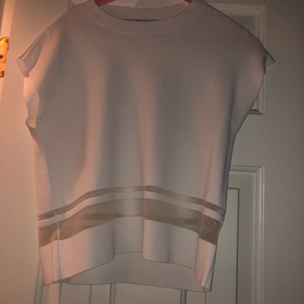 Zara crop top